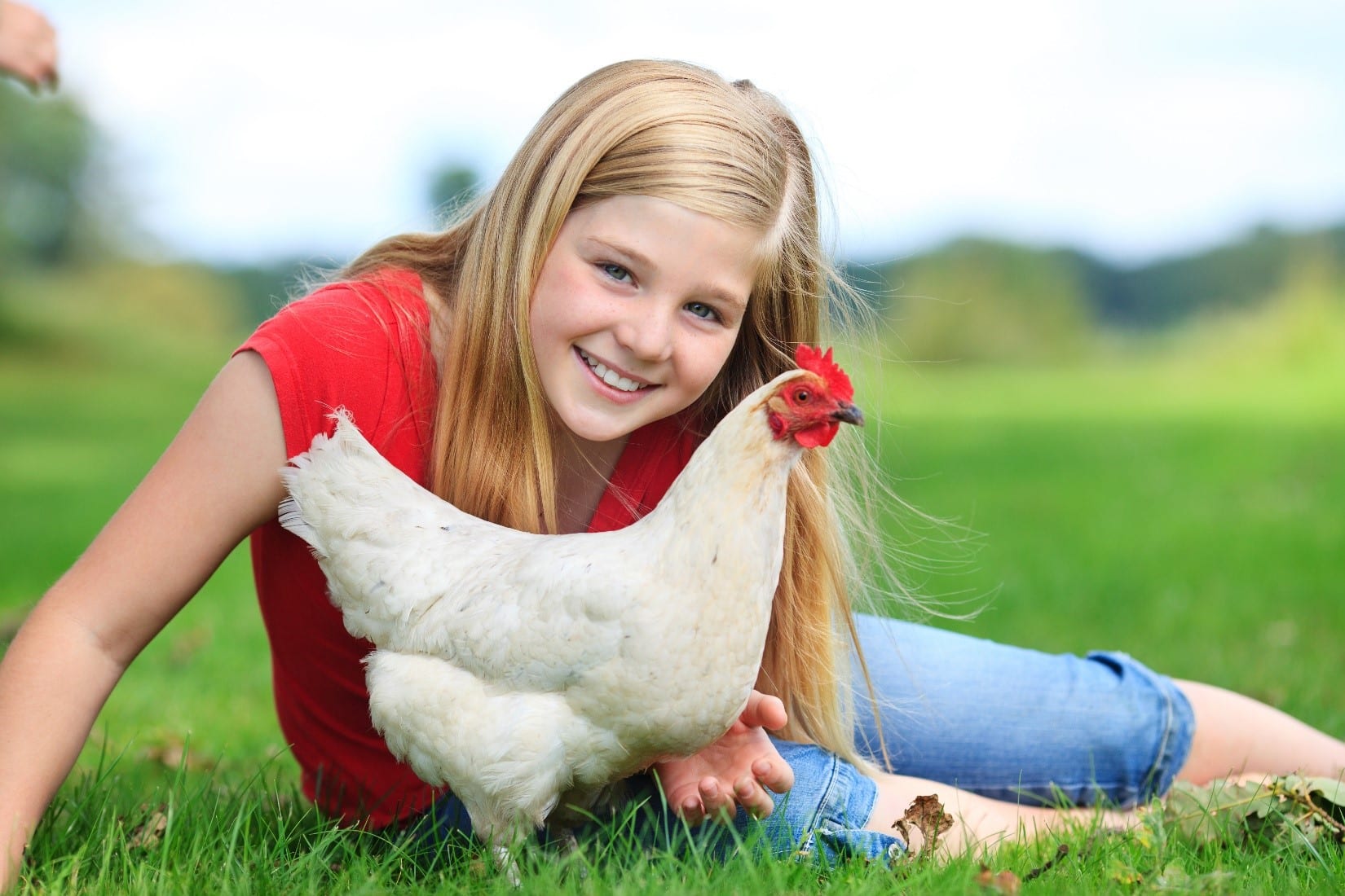 How to Prevent and Treat the 5 Most Common Chicken Diseases Freedom