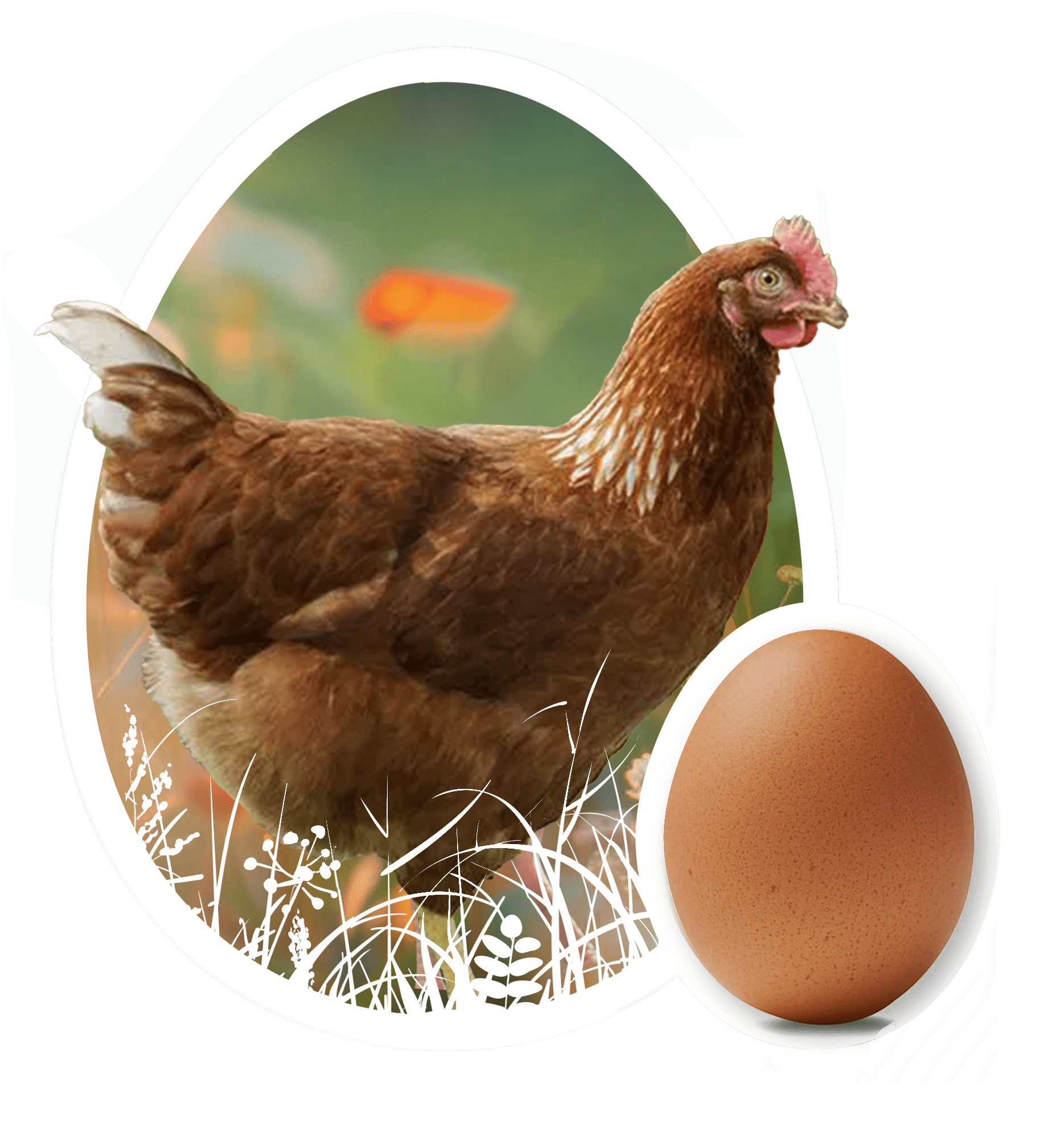 FGI Chicago fabulous Honorary Dinner Uniting