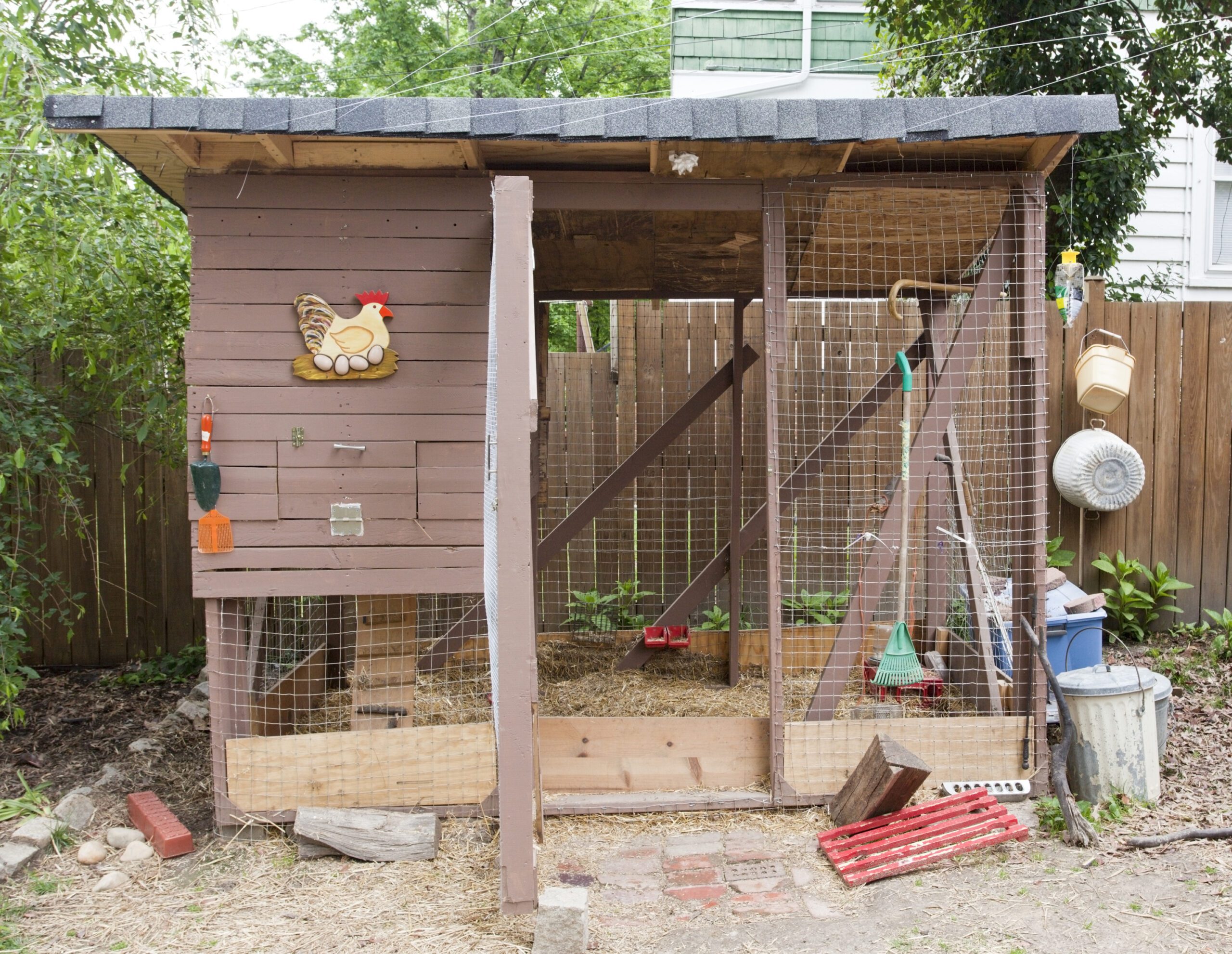 Chicken Coop Essentials: Providing Shelter from Extreme Temperatures